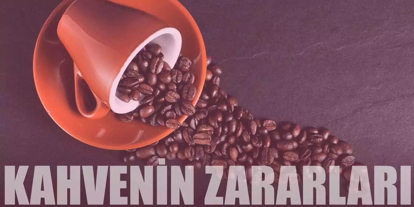 Kahve Tüketmenin İnsan Sağlığına Zararları