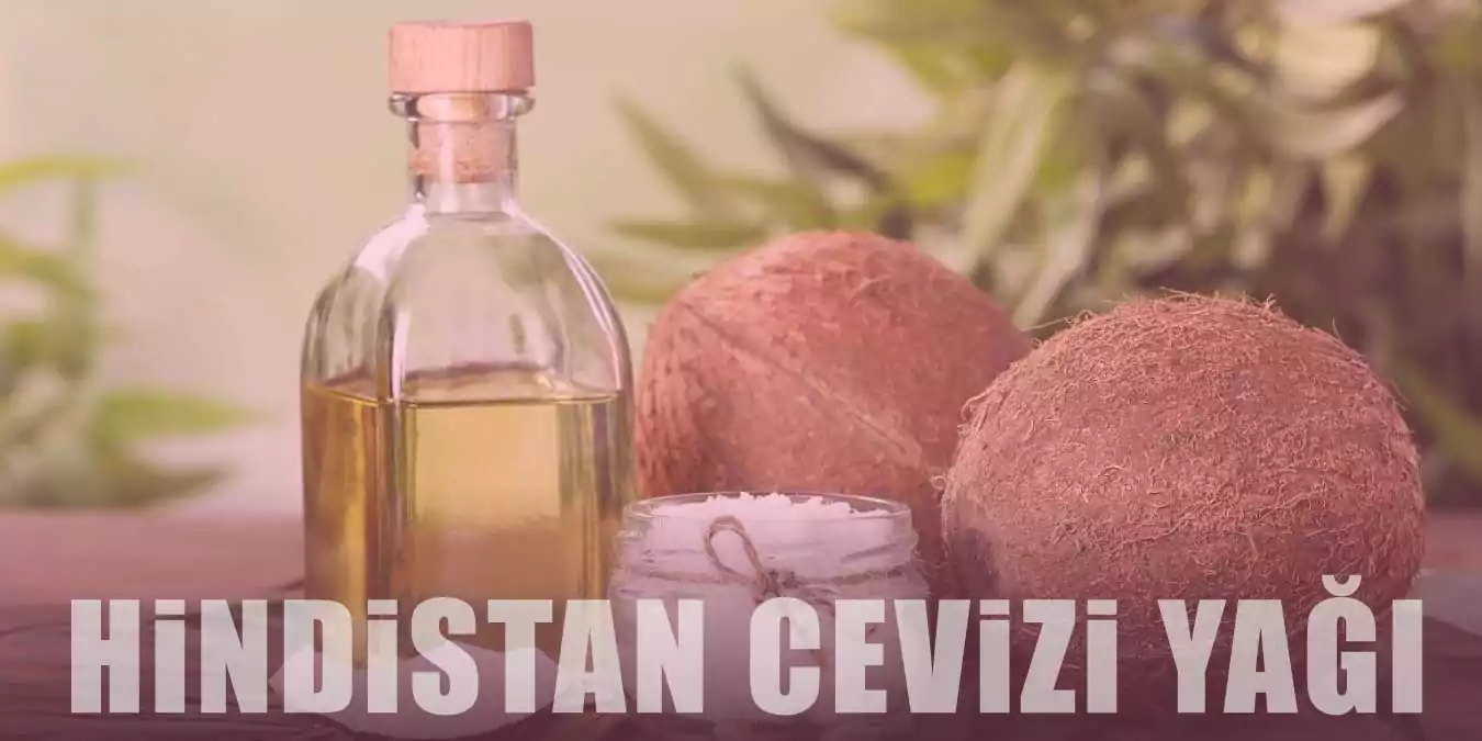 Hindistan Cevizi Yağının Saça Faydaları ve Kullanım Önerileri