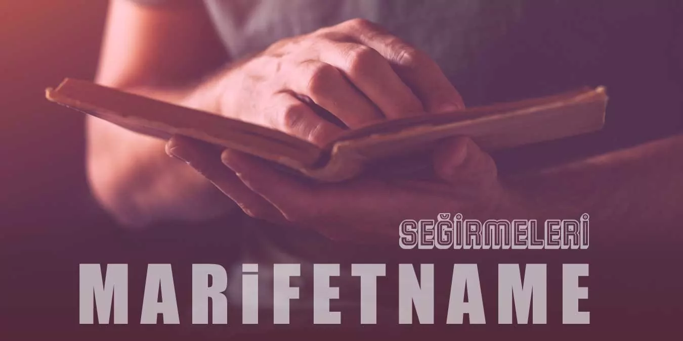 Marifetname'deki Seğirmeler ve Anlamları