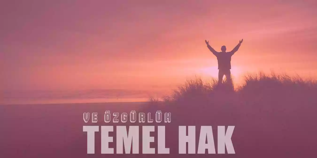 Temel Hak ve Özgürlükler Nedir?