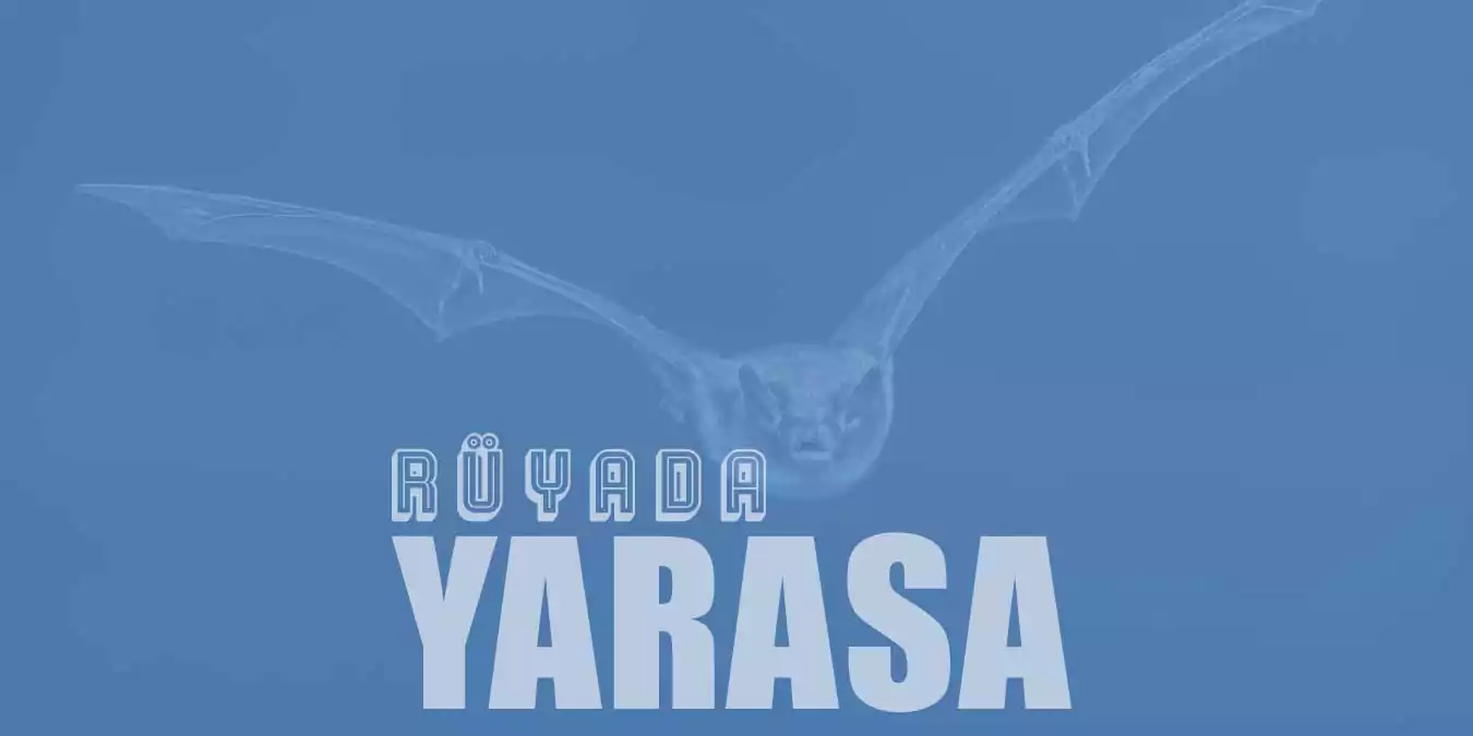 Rüyada Yarasa Görmek - Yarasa Saldırması ve Isırması Tabiri