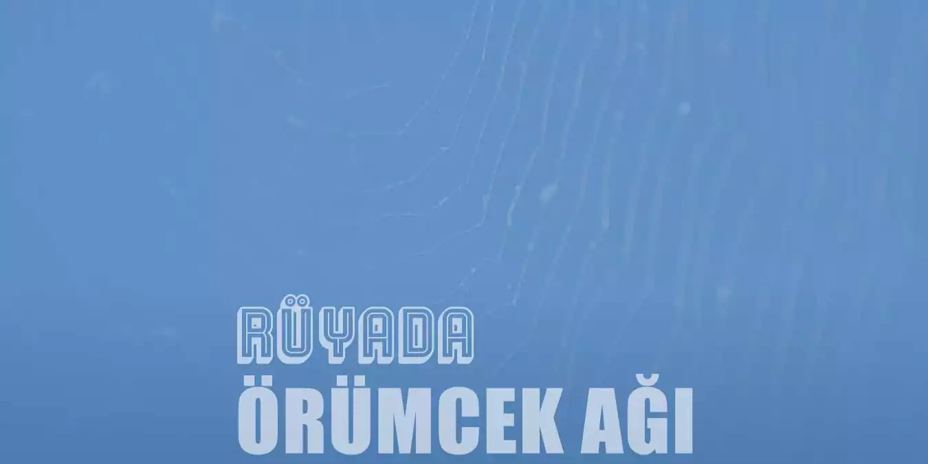 Rüyada Örümcek Ağı Görmek - Anlaşılır ve Değerli Yorumlar