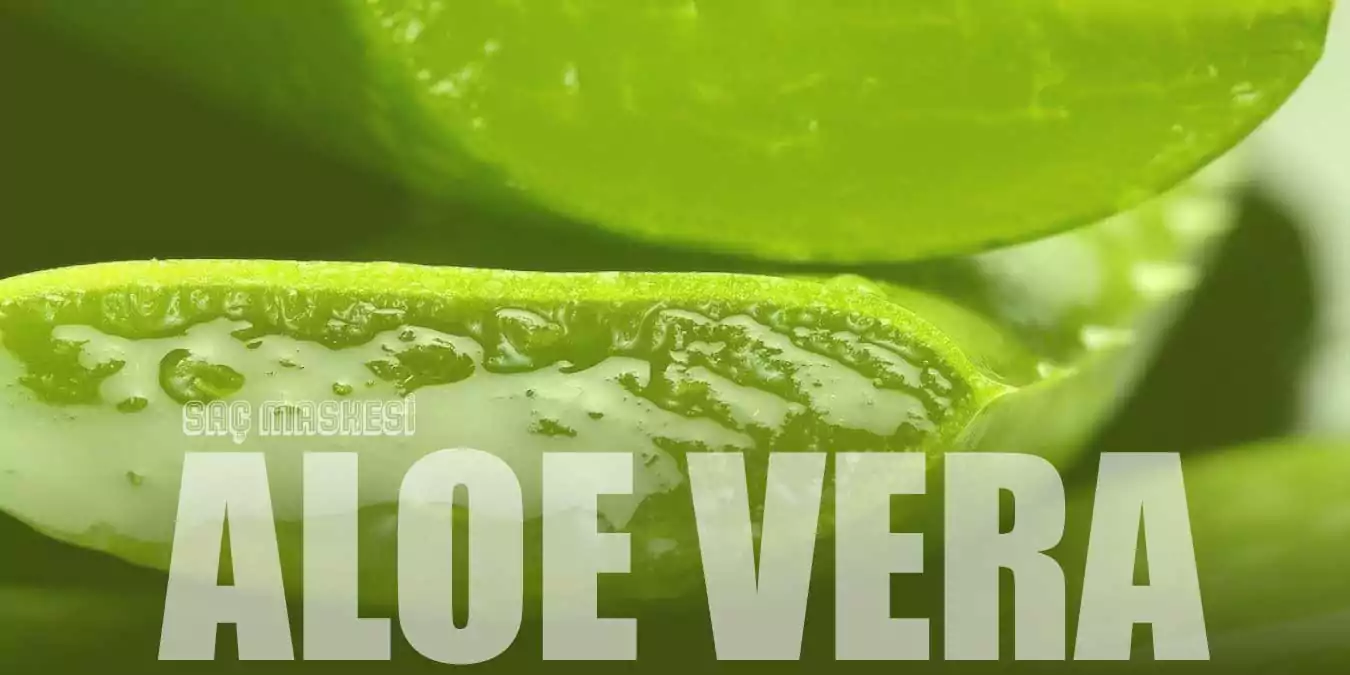 Aloe Vera Özlü En İyi Saç Maskesi Önerileri