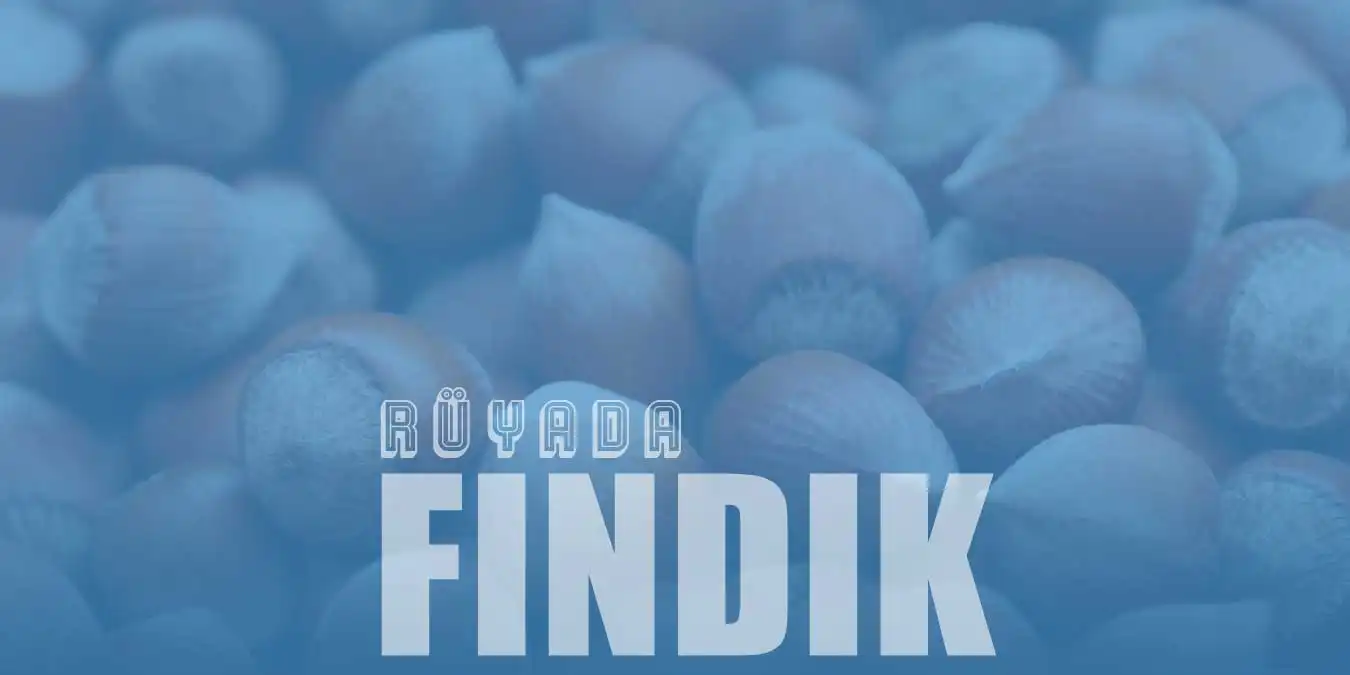 Rüyada Fındık Görmek - Kabuklu Fındık Toplamanın Rüya Tabiri