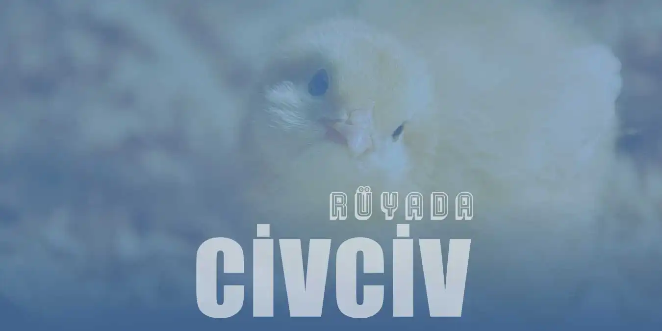 Rüyada Civciv | Civcivli Tavuk | Civciv Sürüsü Görmek Nedir?