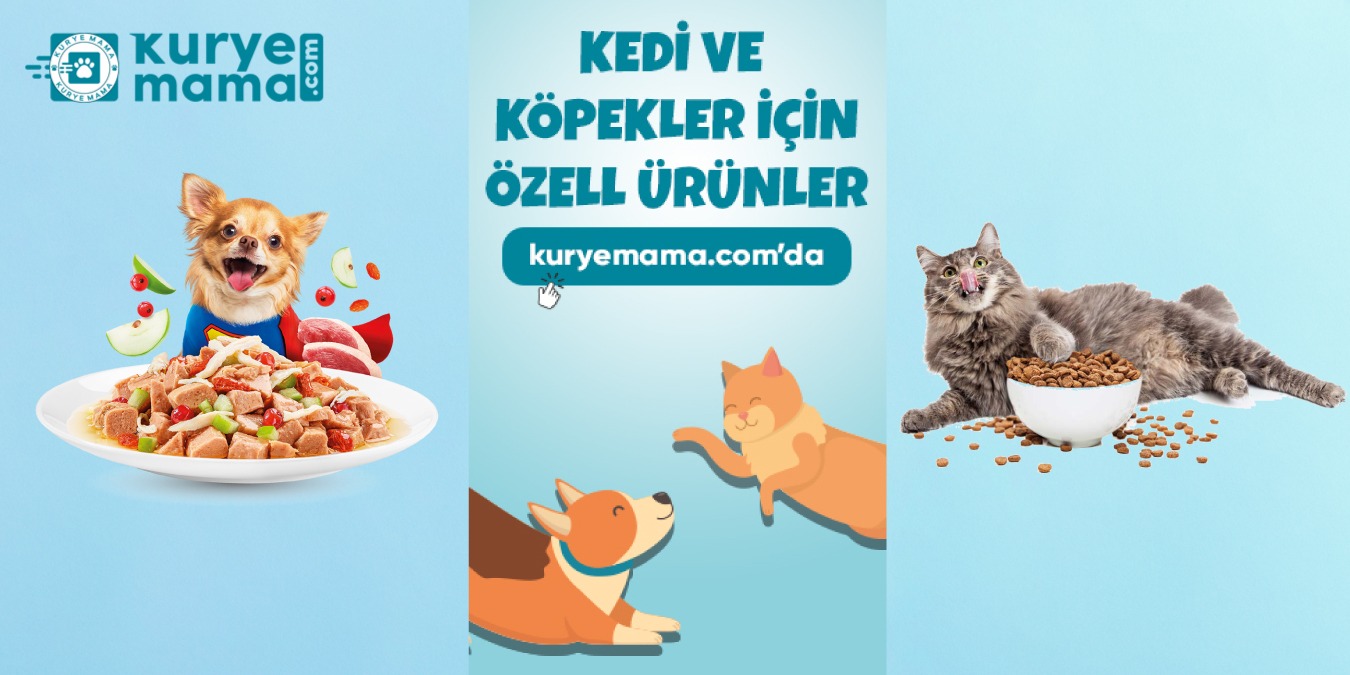En İyi Petshop Kedi ve Köpek Mamaları Kurye Mama'da