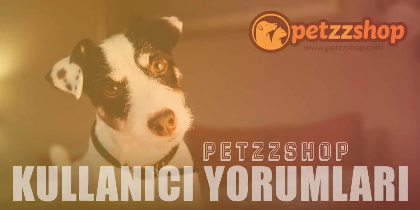 Petzz Shop Şikayet ve Kullanıcı Yorumları İncelemesi