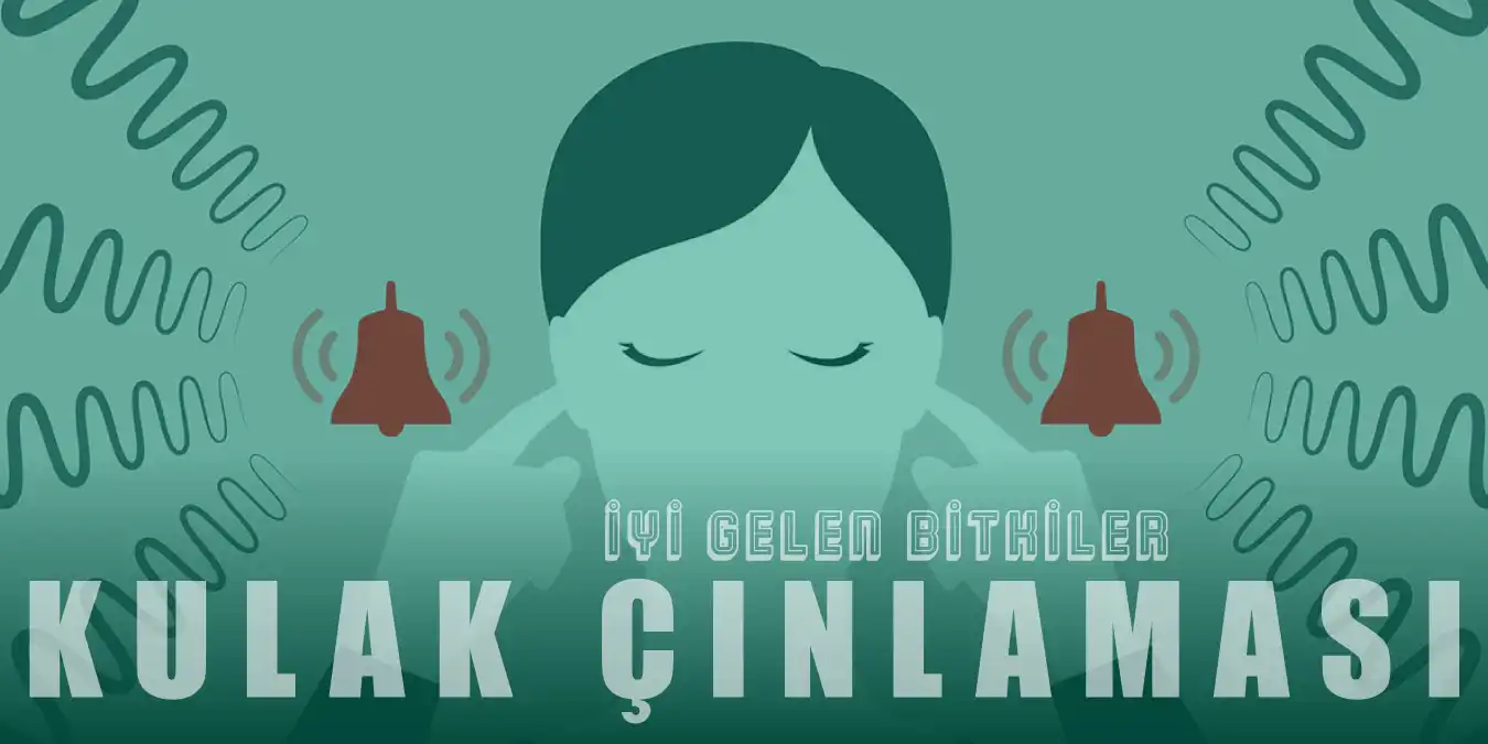 Çınlamaya Ne İyi Gelir? Kulak Çınlamasına İyi Gelen 10 Bitki