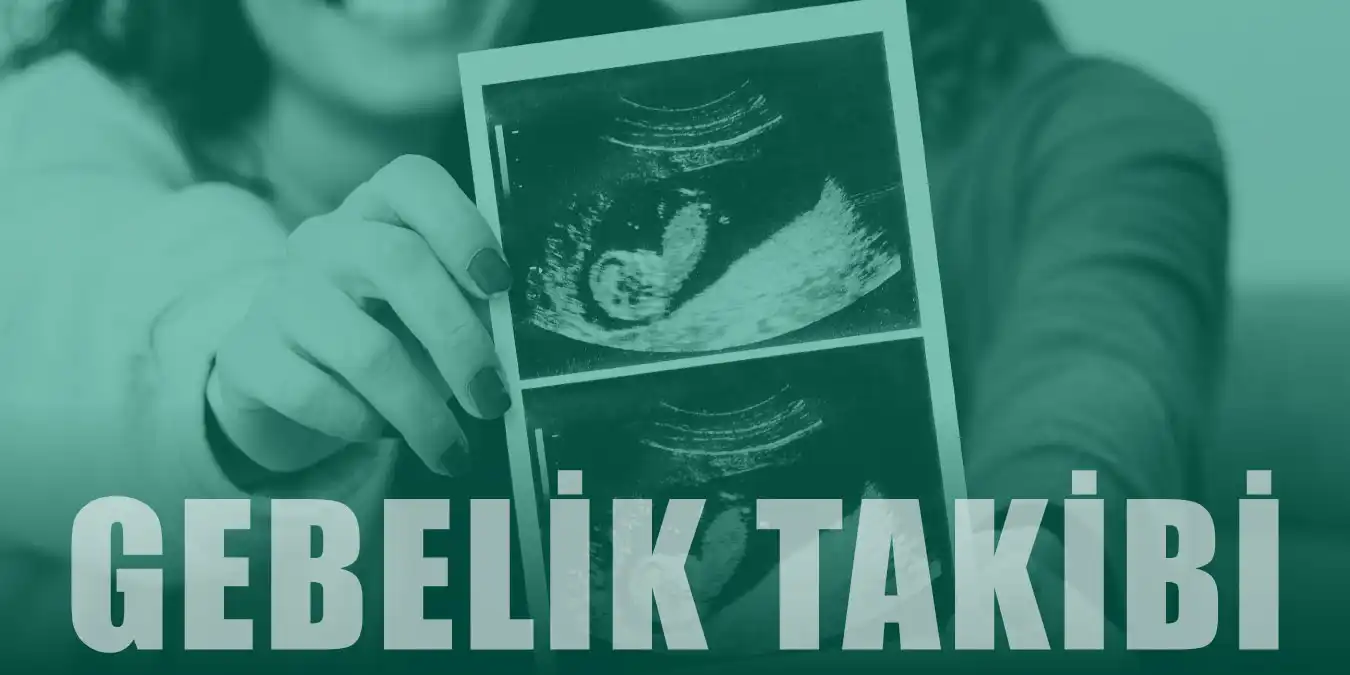 Hafta Hafta Gebelik Takibi | 1-40 Hafta Bebek Gelişimi