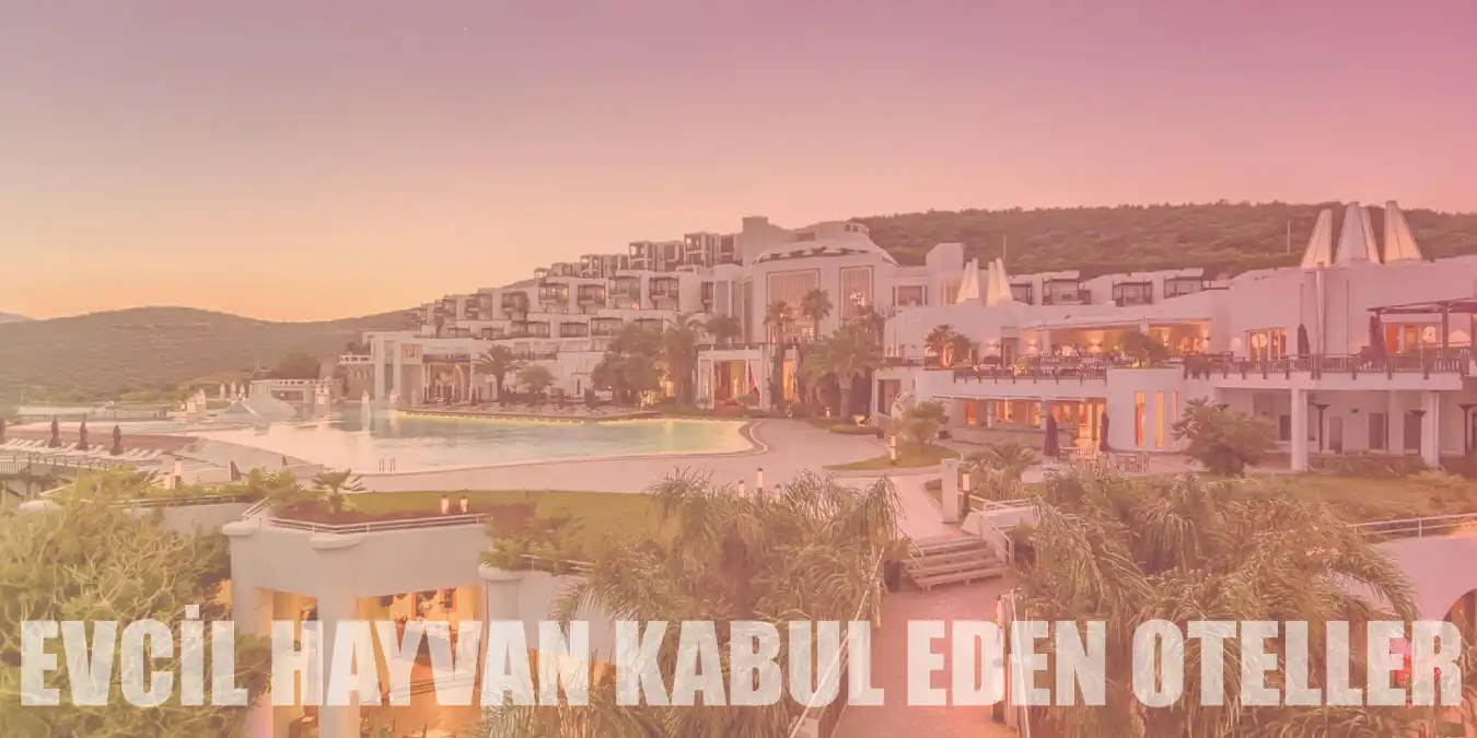 Minik Dostlarla Tatil İçin 10 Evcil Hayvan Kabul Eden Otel