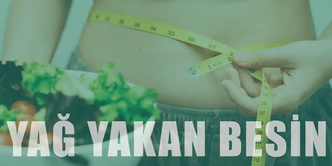 Yağ Yakmanıza Yardımcı Olan 10 Besin