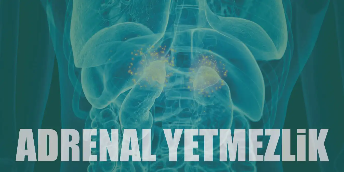 Adrenal Yetmezlik Nedir? Tanı ve Tedavi Yöntemleri