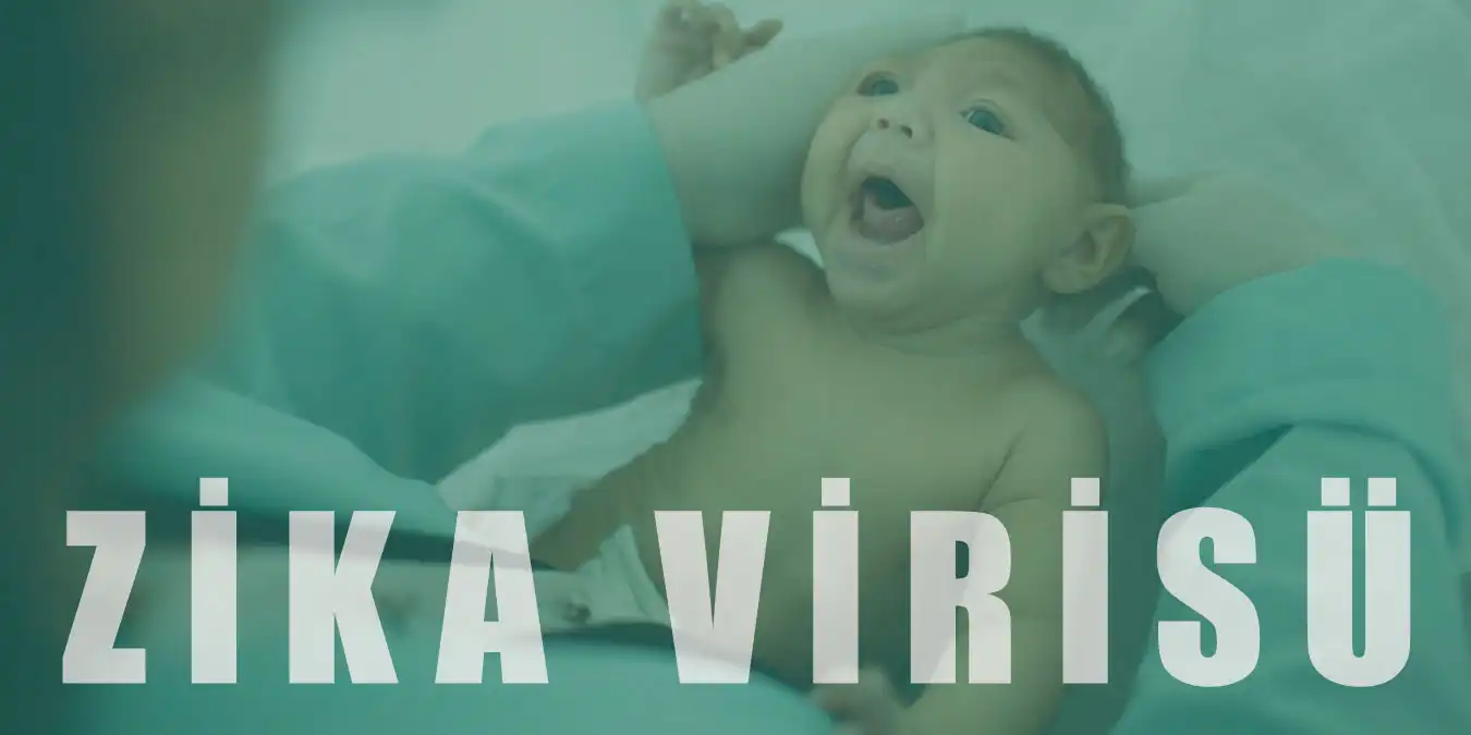 Zika Virüsü Nedir? Nasıl Bulaşır ve Belirtileri Nelerdir?