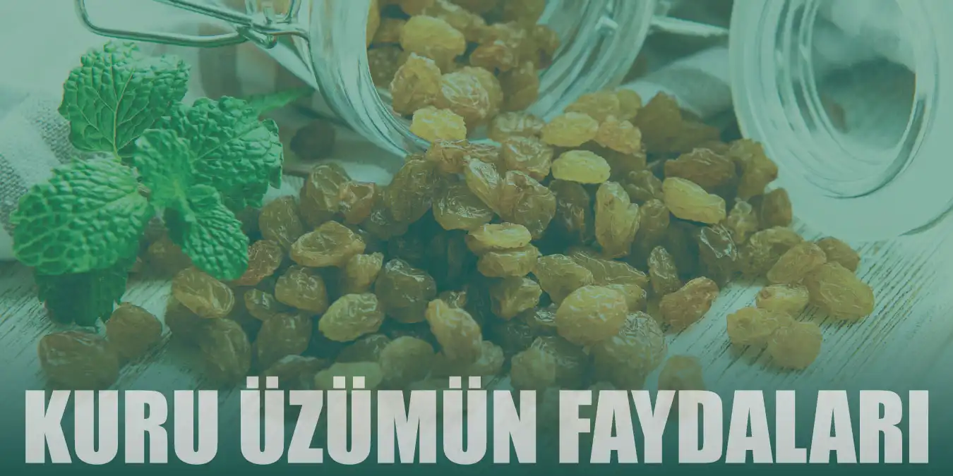 Sindirim Problemi Yaşayanların Dostu; Kuru Üzümün 10 Faydası