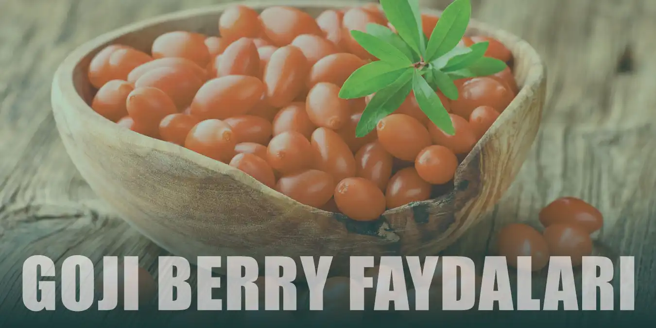 Goji Berry (Kurt Üzümü) Nedir? | Sağlığa 10 Mucizevi Faydası