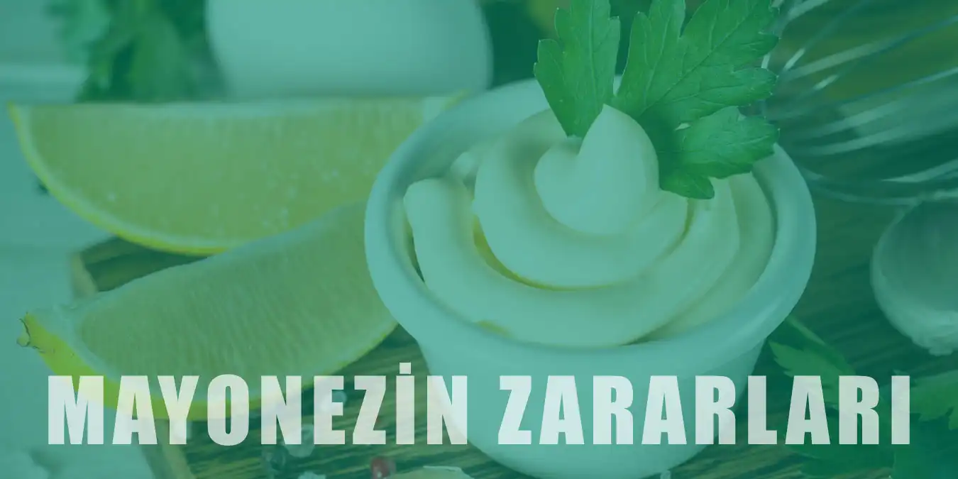 Yüksek Kalorili Mayonezin Sağlığa Zararları