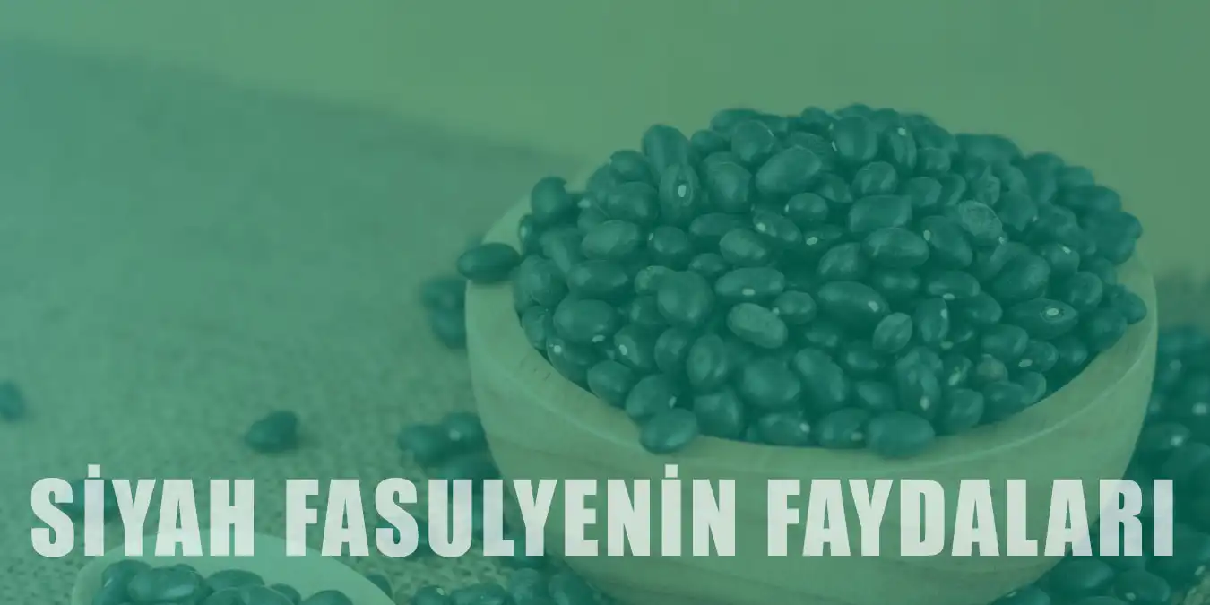 Siyah Fasulye Nedir, Nasıl Kullanılır ve Faydaları Nelerdir?