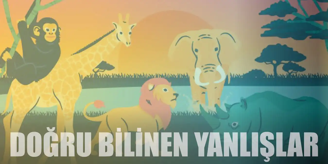 20 Hayvan Hakkında Doğru Bilinen 20 Yanlış Bilgi!