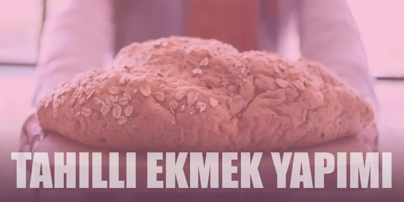 Tahıllı Ekmek Yapımı, Tarifi ve 5 Tahıllı Ekmek Çeşidi