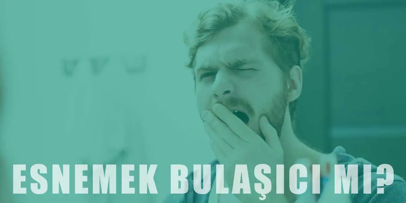 Esneme Neden Bulaşıcıdır? Esneme Hakkında Bilgi