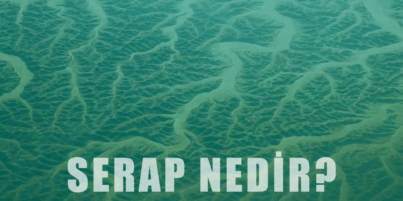 Serap Nedir ve Nasıl Oluşur? | Türleri ve Özellikleri