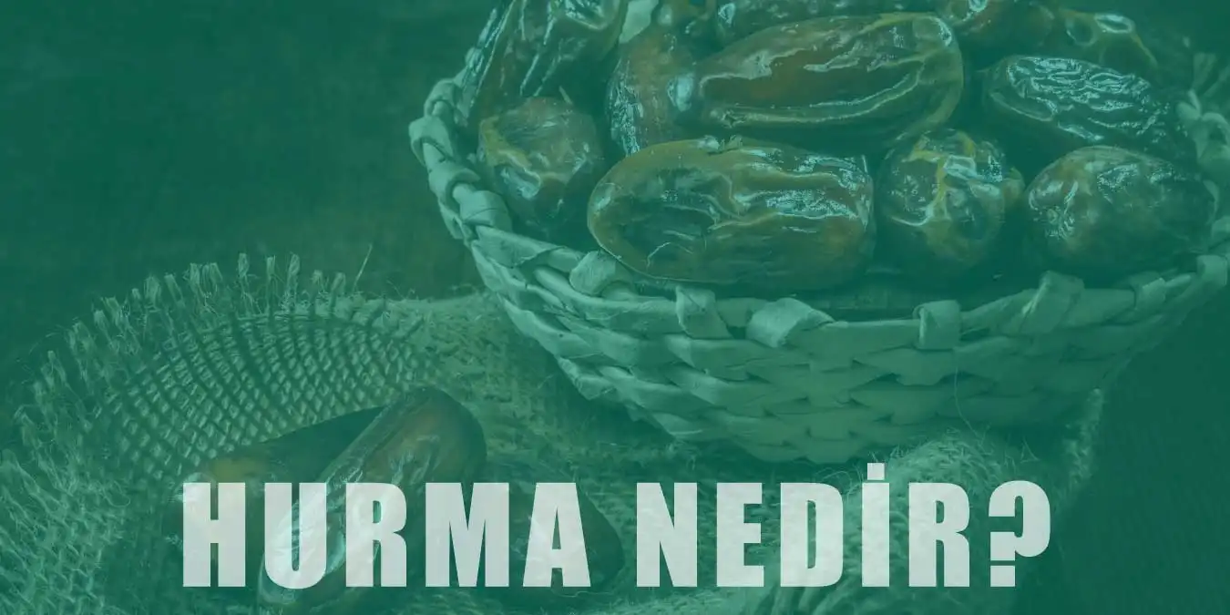 Hurmanın Anlamı Nedir? Kur'an-ı Kerim'de Hurmanın Anlamı