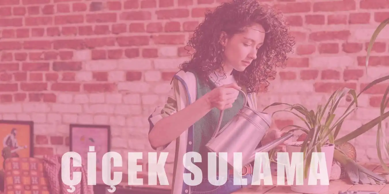 Çiçekler Ne Kadar Sulanmalı? Doğru Sulama Yöntemleri