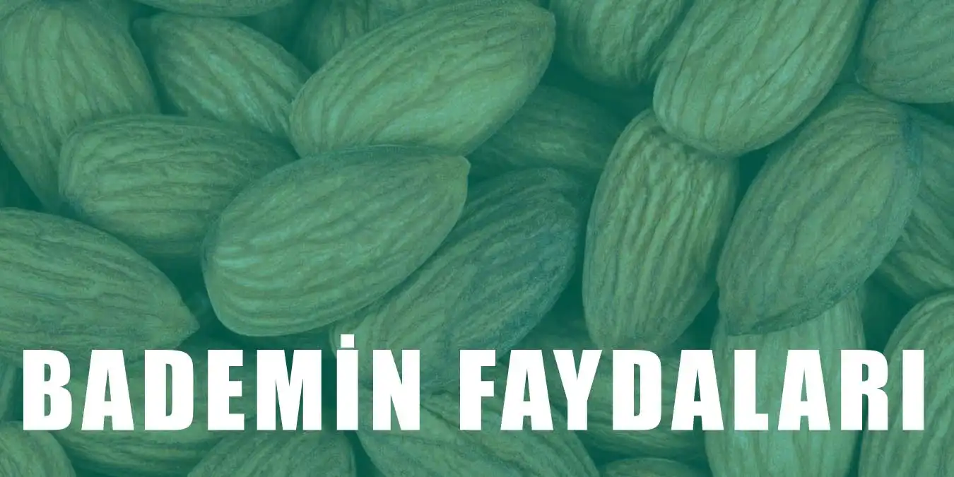 Bademin Faydaları Nelerdir? Badem Hakkında Bilgiler