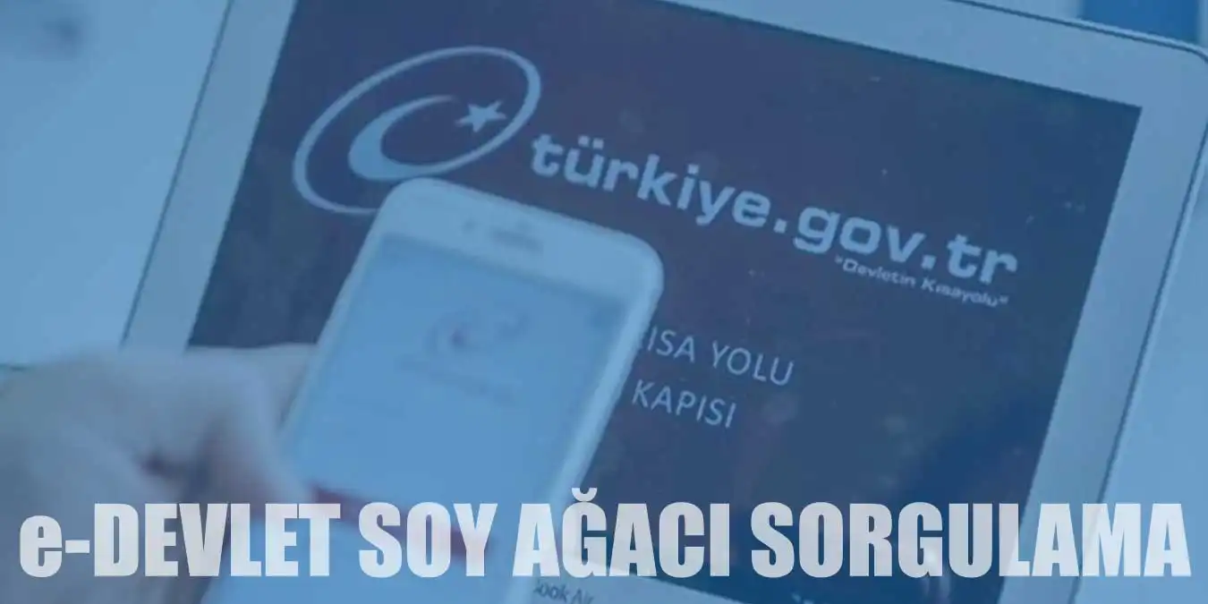 e-Devlet Soy Ağacı Sorgulama Nasıl Yapılır?