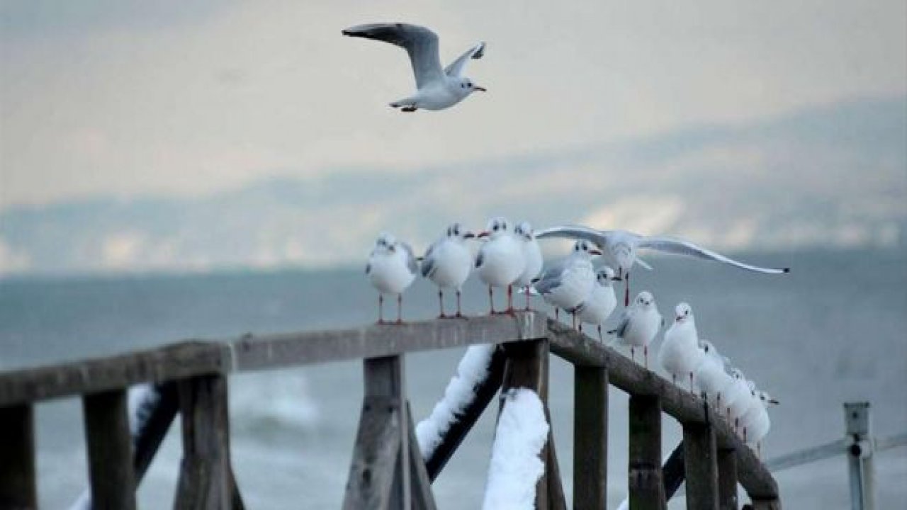 Ocak Ayında Ziyaret Edilecek Noktalar