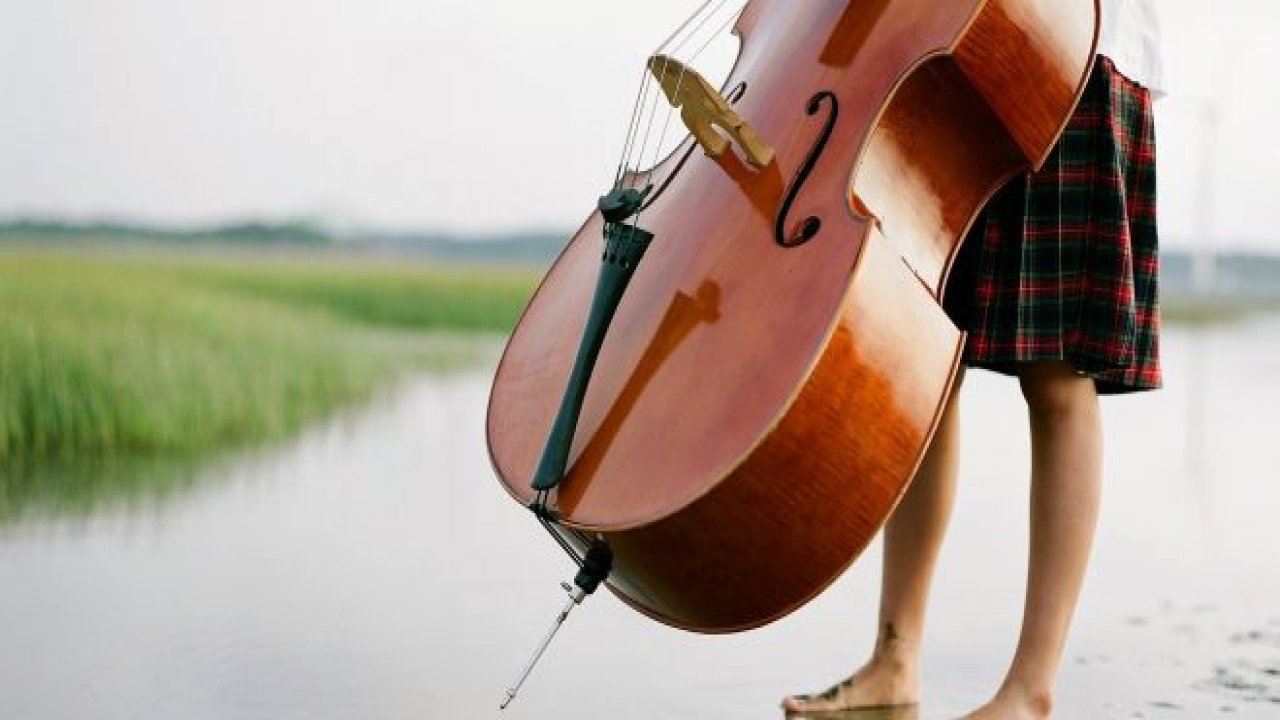 Dünyanın En Pahalı Müzik Aletleri