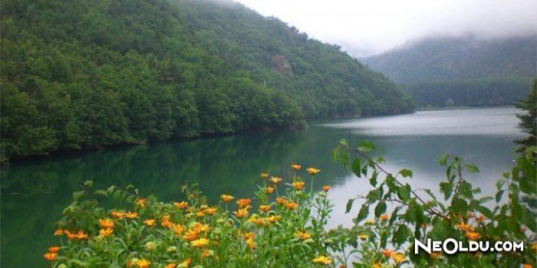 Bingöl’ün Doğal Güzellikleri