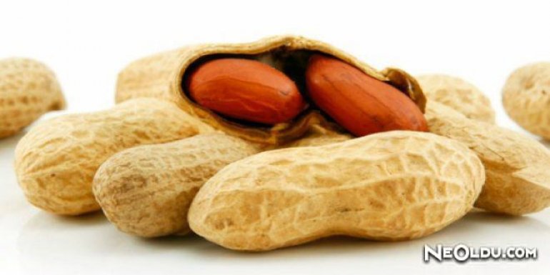 Falda Fıstık Görmek Ne Anlama Gelir