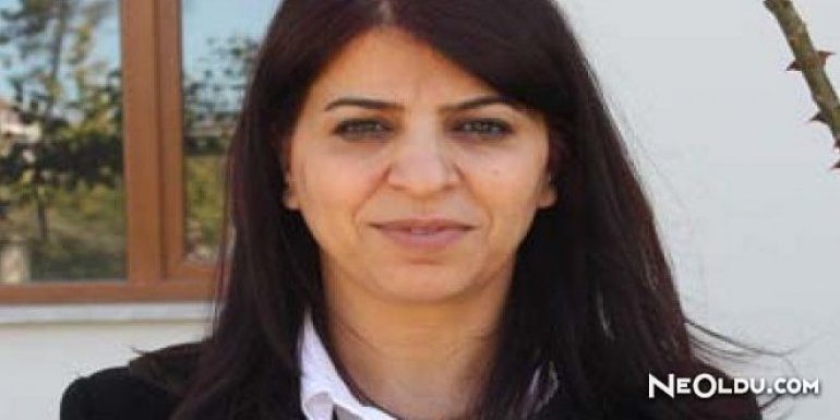 Sibel Yiğitalp Kimdir