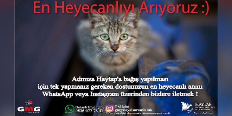 En Heyecanlıyı Arıyoruz Yarışması Başladı