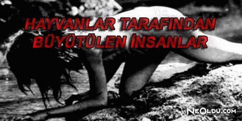 Hayvanlar Tarafından Büyütülen İnsanlar!