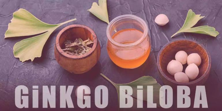 Ginkgo Bilobanın Faydaları: İnsan Sağlığına 15 Etkisi