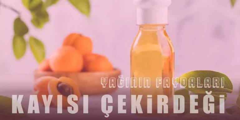 Kayısı Çekirdeği Yağının Faydaları - Sağlık ve Güzellik