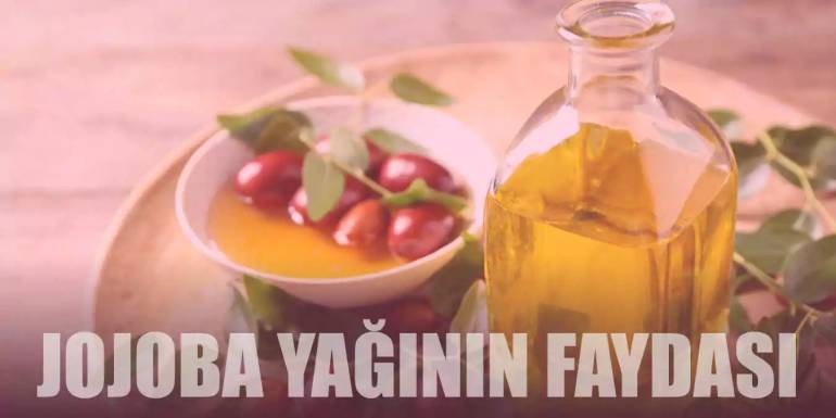 Jojoba Yağının Saça Faydaları Nelerdir?