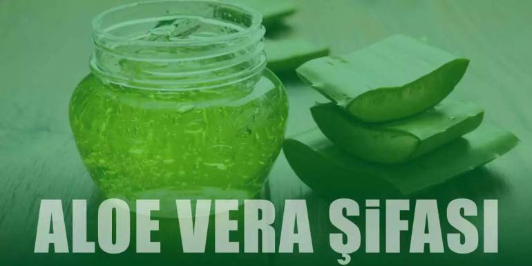 Aloe Vera Faydaları ve Kullanımı: Cilt, Saç ve Detoks için Mucizevi Bitki