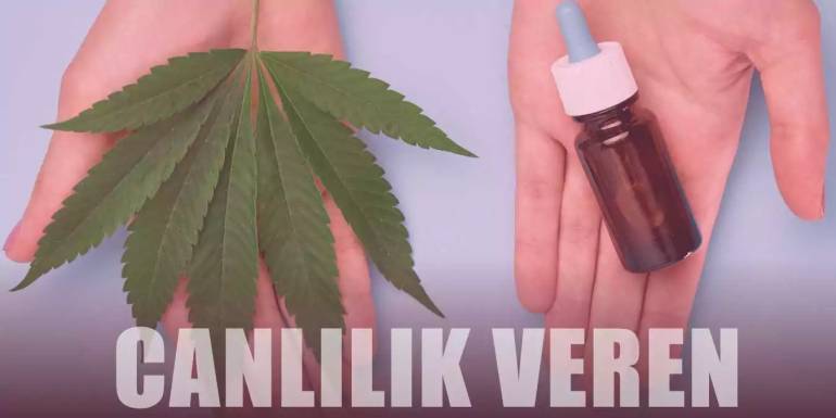 Saçlara Canlılık ve Parlaklık Veren En Etkili Bitki Özleri