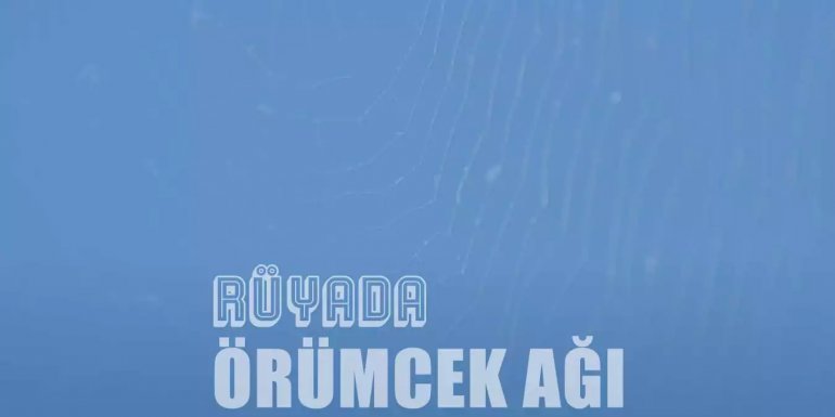 Rüyada Örümcek Ağı Görmek - Anlaşılır ve Değerli Yorumlar