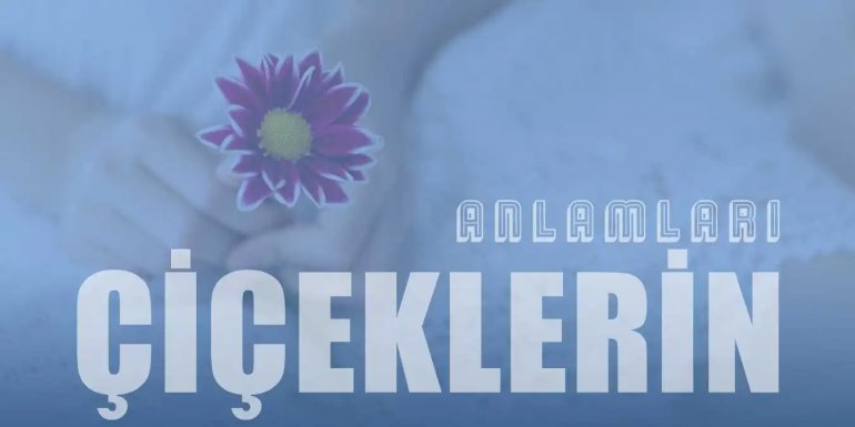 Dünyanın En Güzel Hediyeleri Çiçeklerin Anlamları Nelerdir?