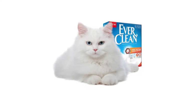 Ever Clean Kedi Kumu Çeşitleri ve İncelemesi