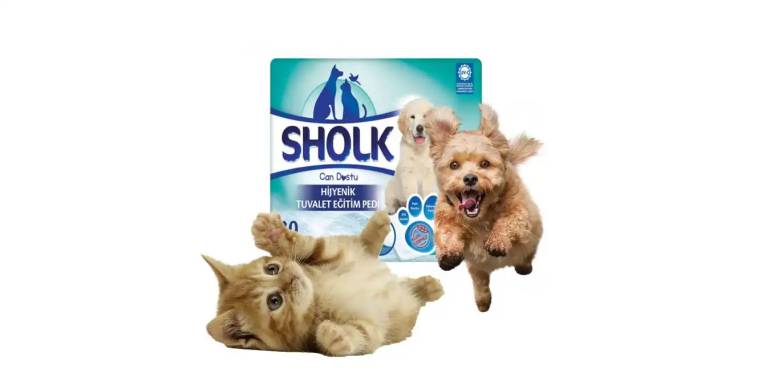 Sholk Kedi ve Köpek Temizlik Ürünleri İncelemesi