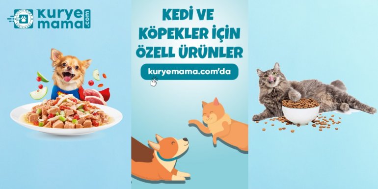 En İyi Petshop Kedi ve Köpek Mamaları Kurye Mama'da