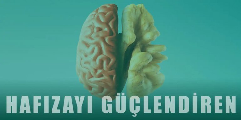 Hafızayı Güçlendiren İçecekler, Vitaminler ve Yiyecekler