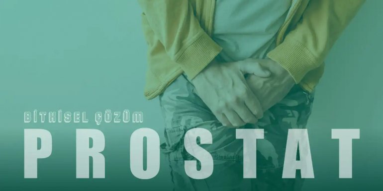 Prostat Tedavisi Nedir? Prostata 10 Bitkisel Çözüm Önerisi