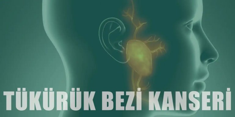 Tükürük Bezi Kanseri Nedir? Belirtileri ve Tedavisi