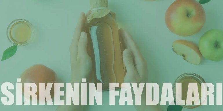 Vücudun Doğal Antibiyotiği Sirkenin 11 Faydası